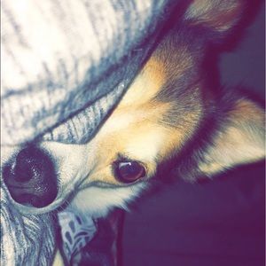 Meet your Posher, Kara